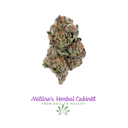 Gelato - Hybrid (Balanced)